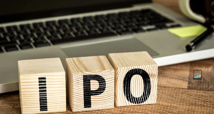 IPO Application Mastery: Expert Insights for Investors